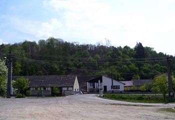 Jasenice
