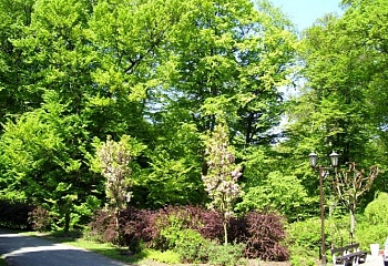 Kladeruby nad Oslavou