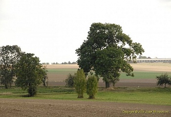 Čistěves