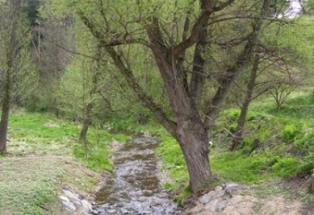 Naloučany
