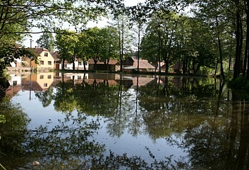 Bochovice