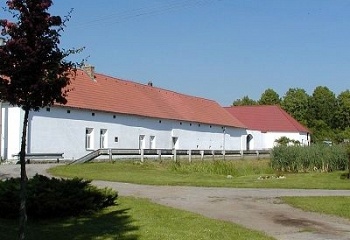 Závraty