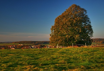 Ostřetín