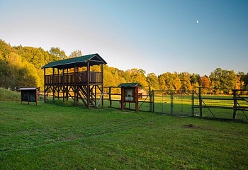 Poběžovice u Holic