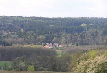 Týniště