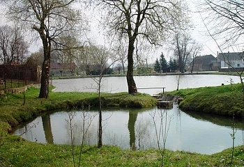 Útušice