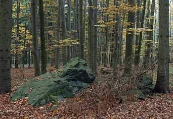 Vlčí