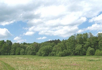 Kunčina Ves