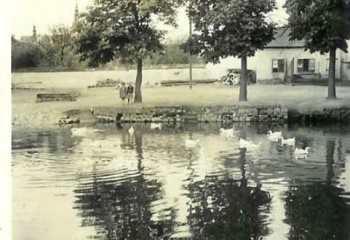 Kvasice