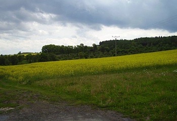 Polní Voděrady