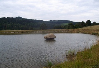 Nekvasovy