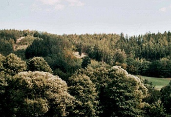 Nenačovice