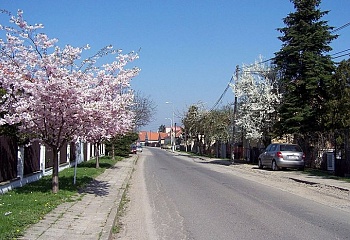 Ratenice