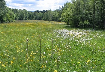 Horní Město