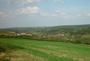 Brodec