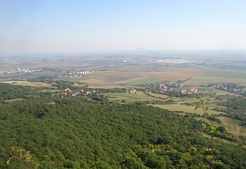 Jenčice
