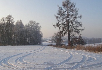 Běleč