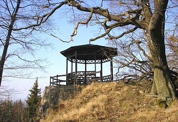 Březina