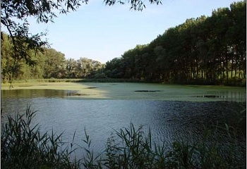 Prasklice