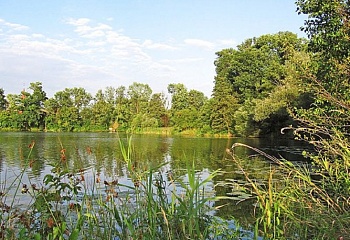 Veletov