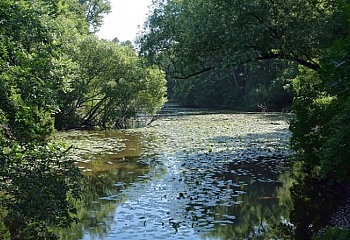 Velký Osek