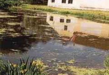 Babice