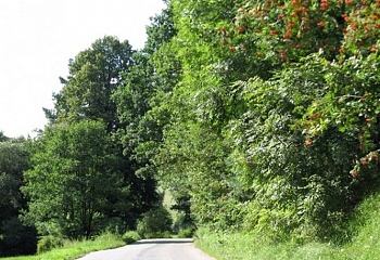 Budkov
