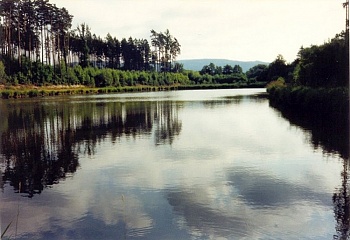 Veselíčko