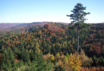 Střílky