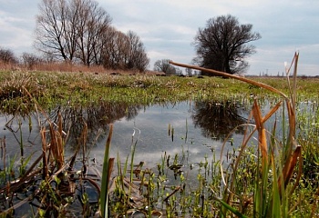 Pňov-Předhradí