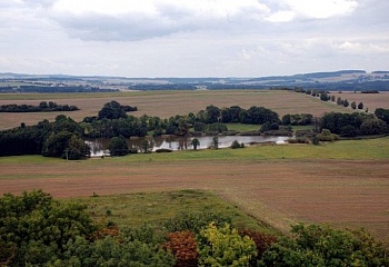 Chotoviny