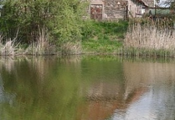 Veltruby
