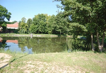 Vrbčany