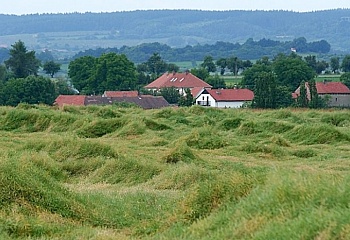 Zalešany