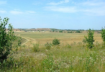 Nelahozeves