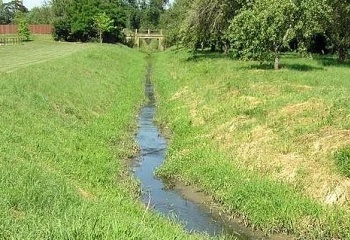 Holohlavy