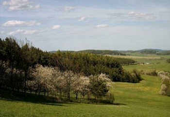 Chlumany