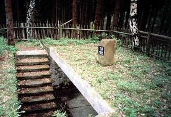 Nýrov