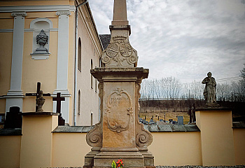 Ropice