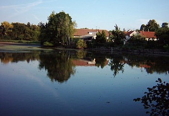 Žabonosy
