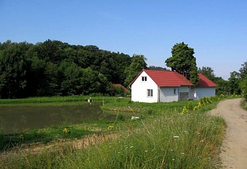 Zástřizly