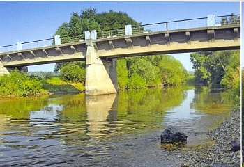 Skorkov