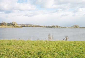 Žehuň