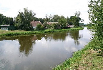 Žiželice