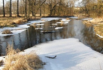 Vrčeň