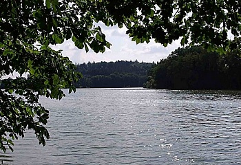 Žinkovy