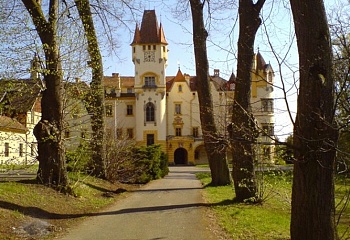 Žinkovy