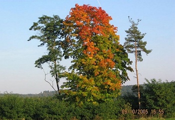 Dobronice u Bechyně