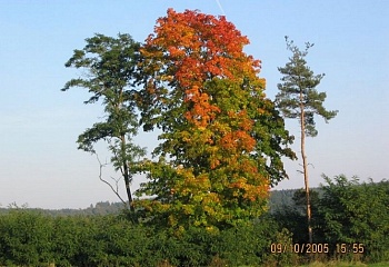 Dobronice u Bechyně