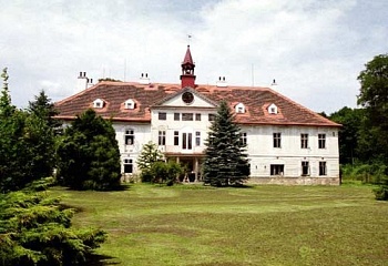 Čeminy